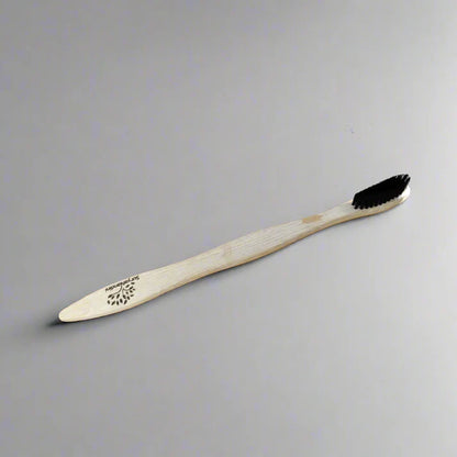 Ayurvedic Dantmanjan (Pack of 2) with Bamboo Toothbrush