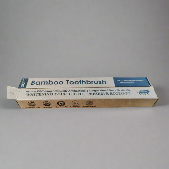 Ayurvedic Dantmanjan (Pack of 2) with Bamboo Toothbrush