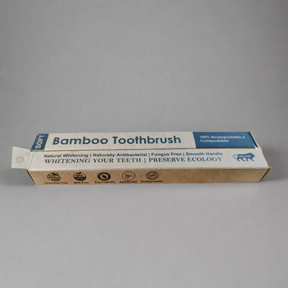 Ayurvedic Dantmanjan (Pack of 2) with Bamboo Toothbrush